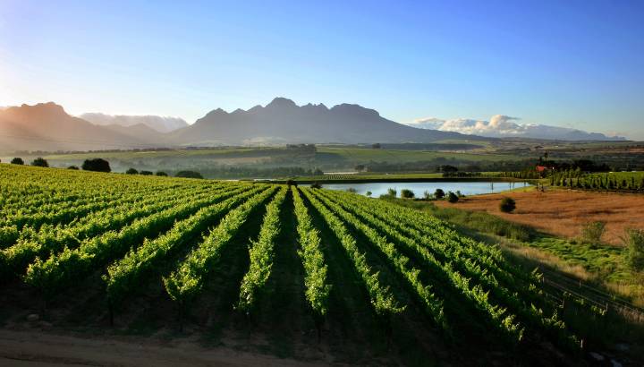 Search for Your Perfect Luxury Vacations