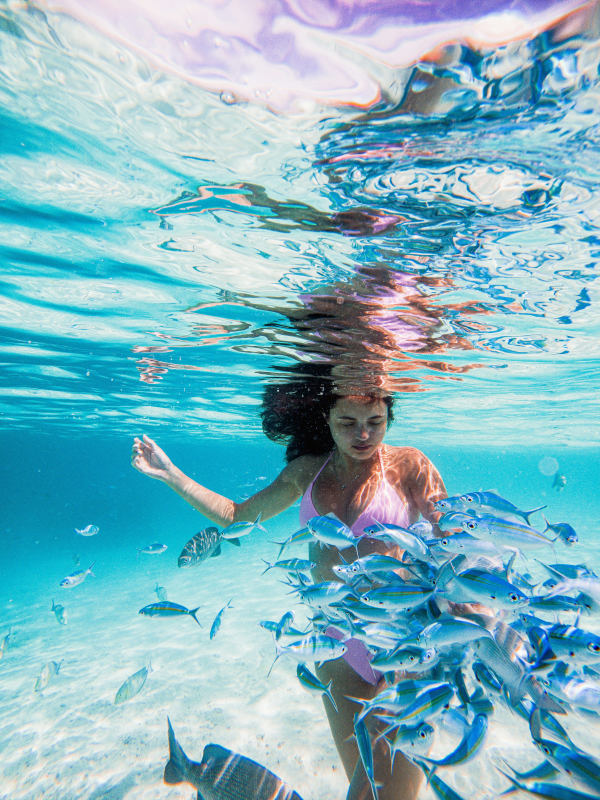 Zen Maldives, a-man-in-a-pool-with-fish