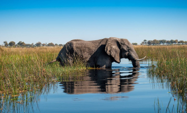 Botswana