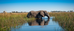 Okavango Delta