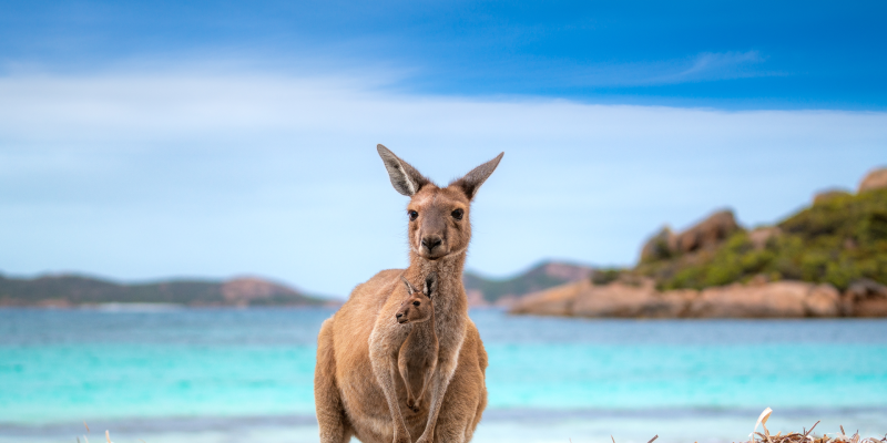 australia's best beaches